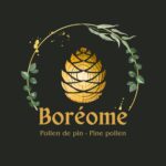 Boreome Coupons And Discount Codes